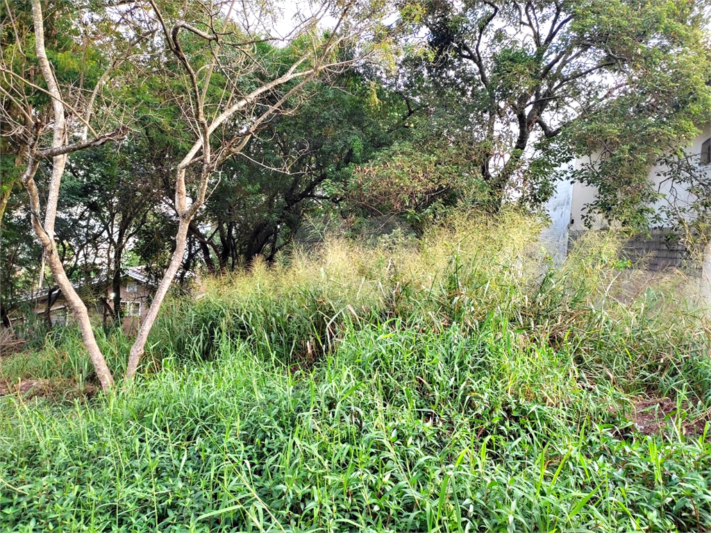 Terreno, 446 m² - Foto 17