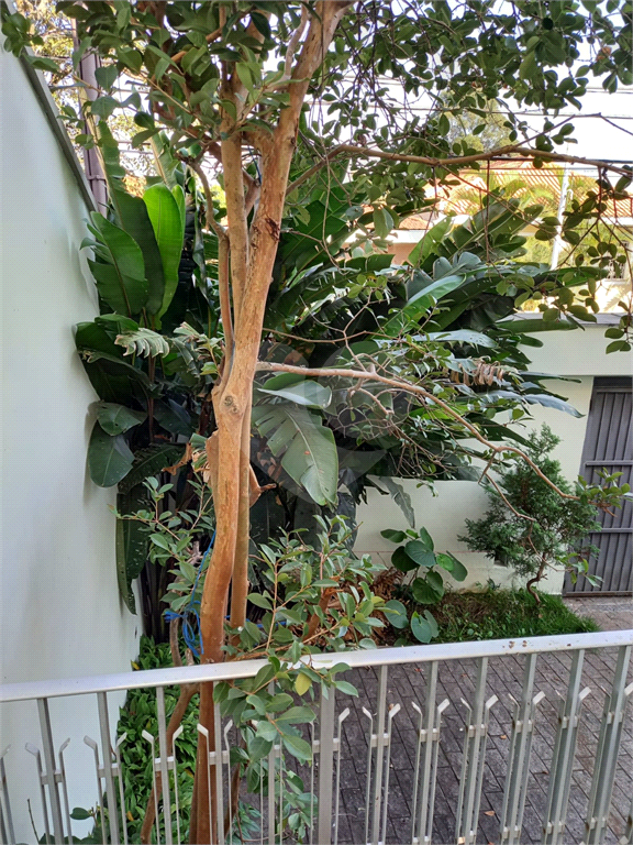  Lindo Sobrado localizado  nas Palmas do Tremembé !!