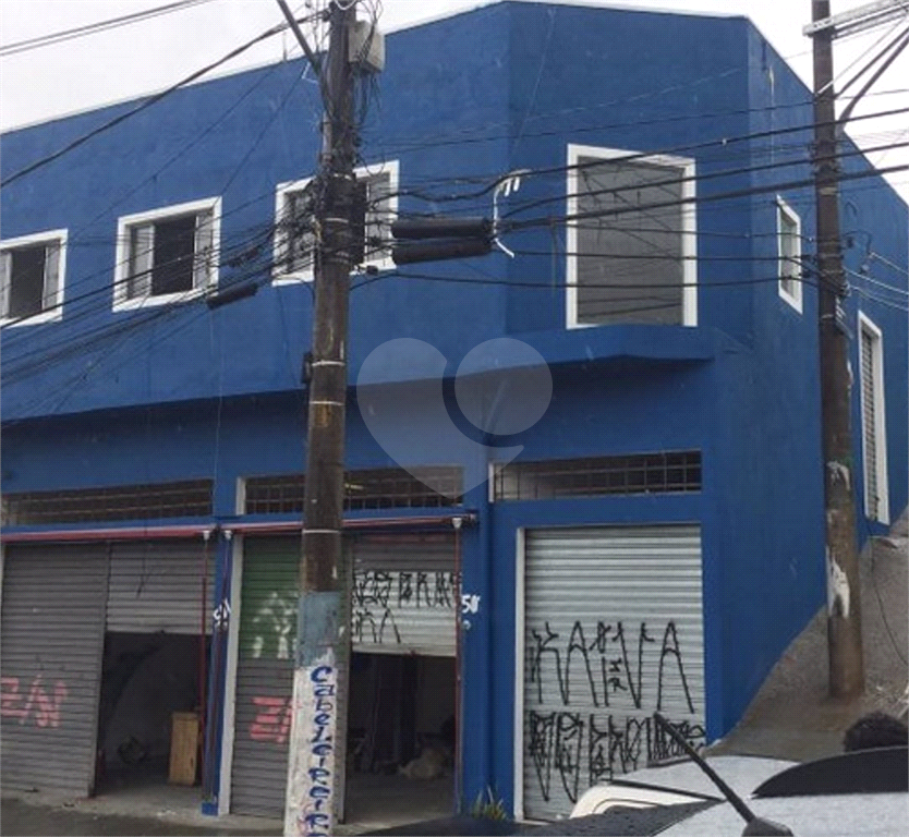 GALPÃO em HORTO