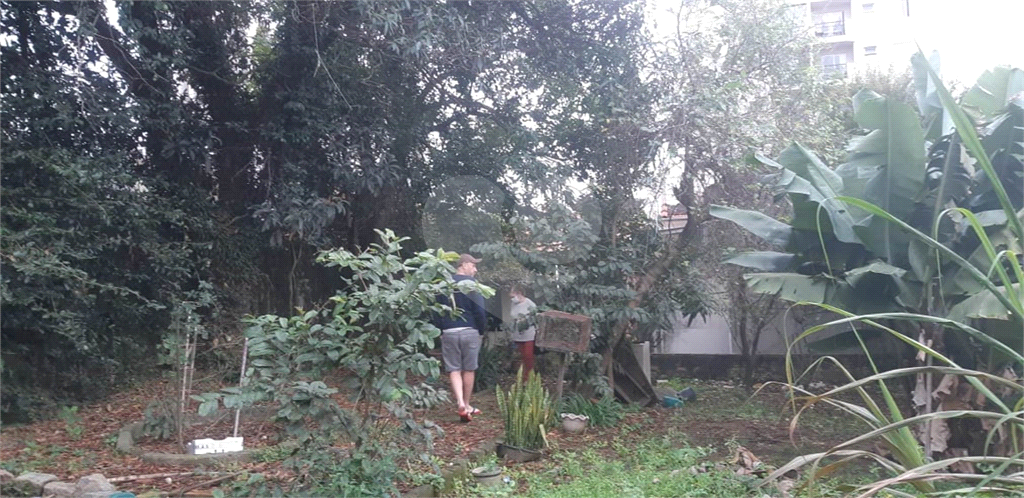 SOBRADO em VILA GUILHERME