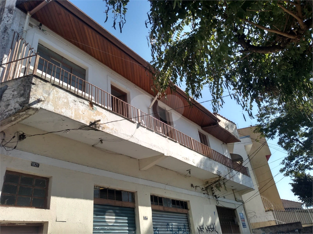 TERRENO em TUCURUVI