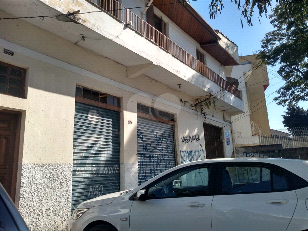 TERRENO em TUCURUVI