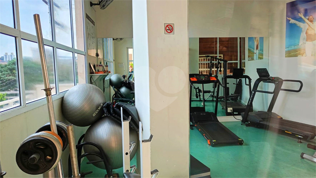 Oportunidade apartamento 02 Dormitórios com varanda gourmet, Zona Norte