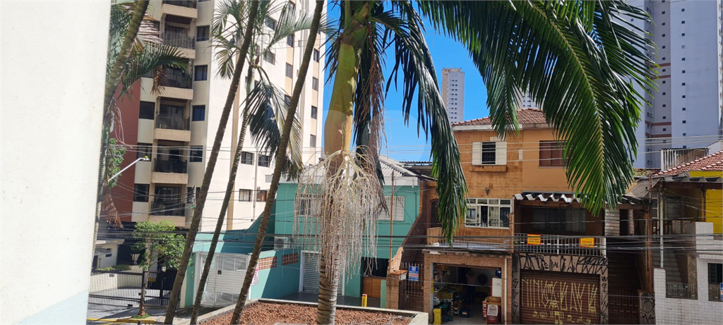 apartamento Mandaqui 74 mts