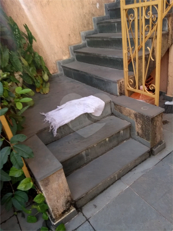 CASA em HORTO