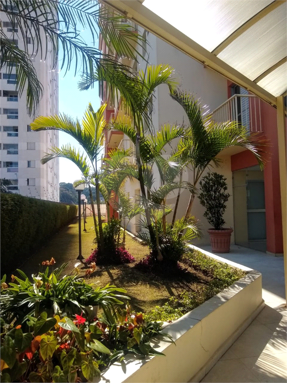 APARTAMENTO em MANDAQUI