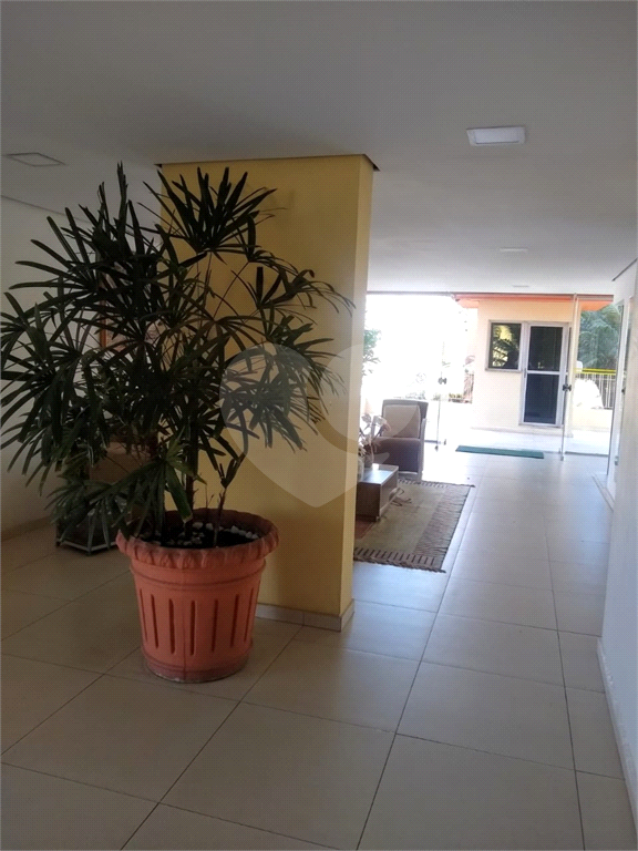 APARTAMENTO em MANDAQUI