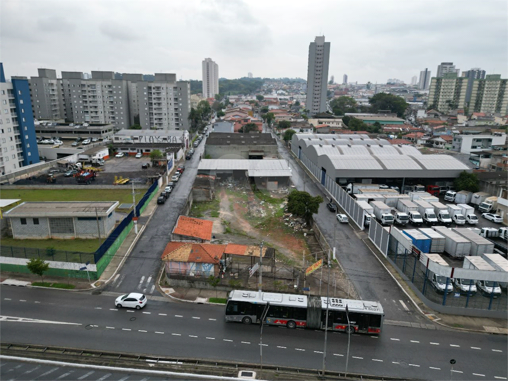 TERRENO em VILA CALIFÓRNIA      