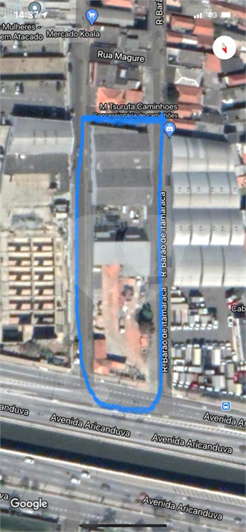 TERRENO em VILA CALIFÓRNIA      