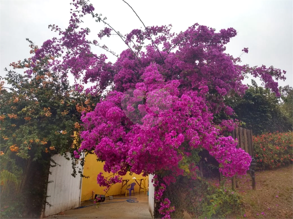 Fazenda à venda com 5 quartos, 260m² - Foto 4