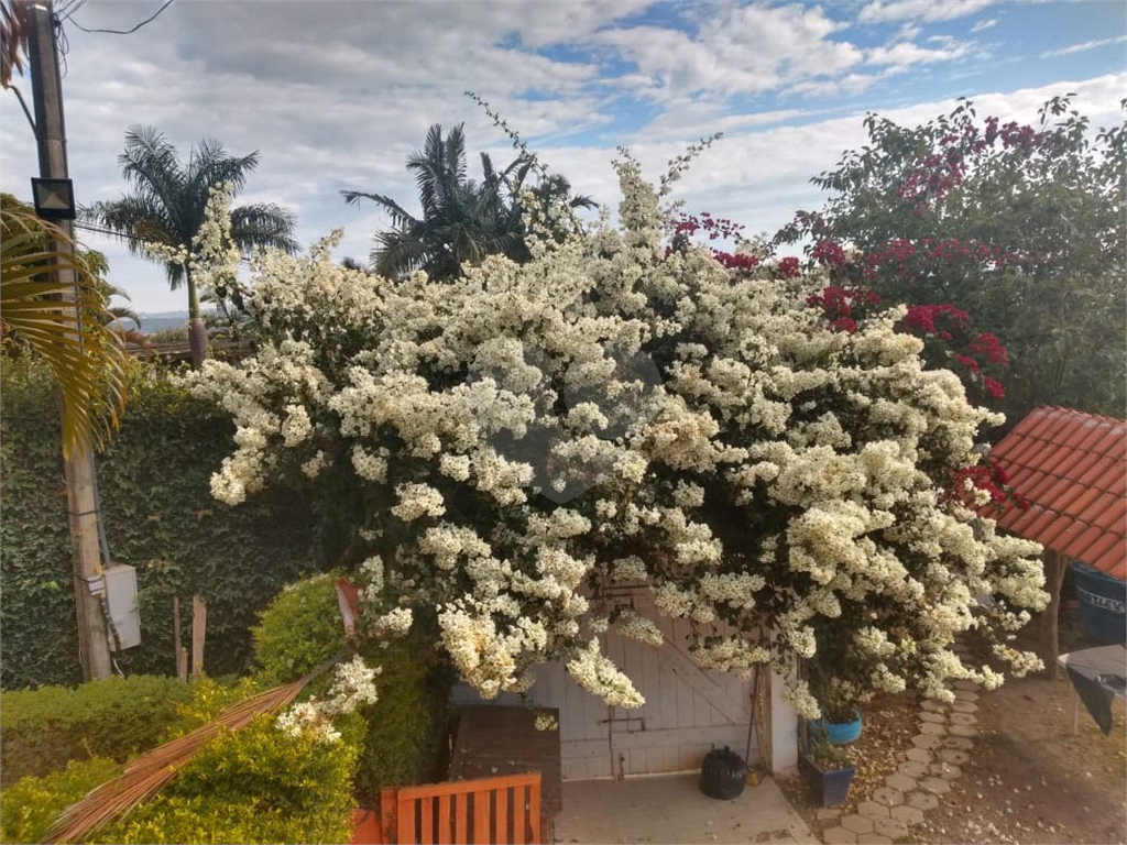 Fazenda à venda com 5 quartos, 260m² - Foto 3