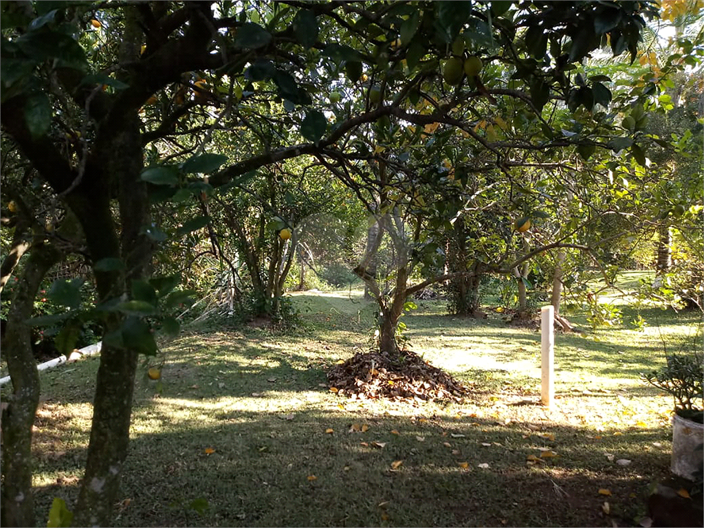 Fazenda à venda com 8 quartos, 300m² - Foto 93