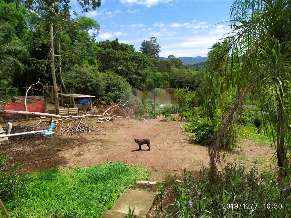 Fazenda à venda com 3 quartos, 72000m² - Foto 11