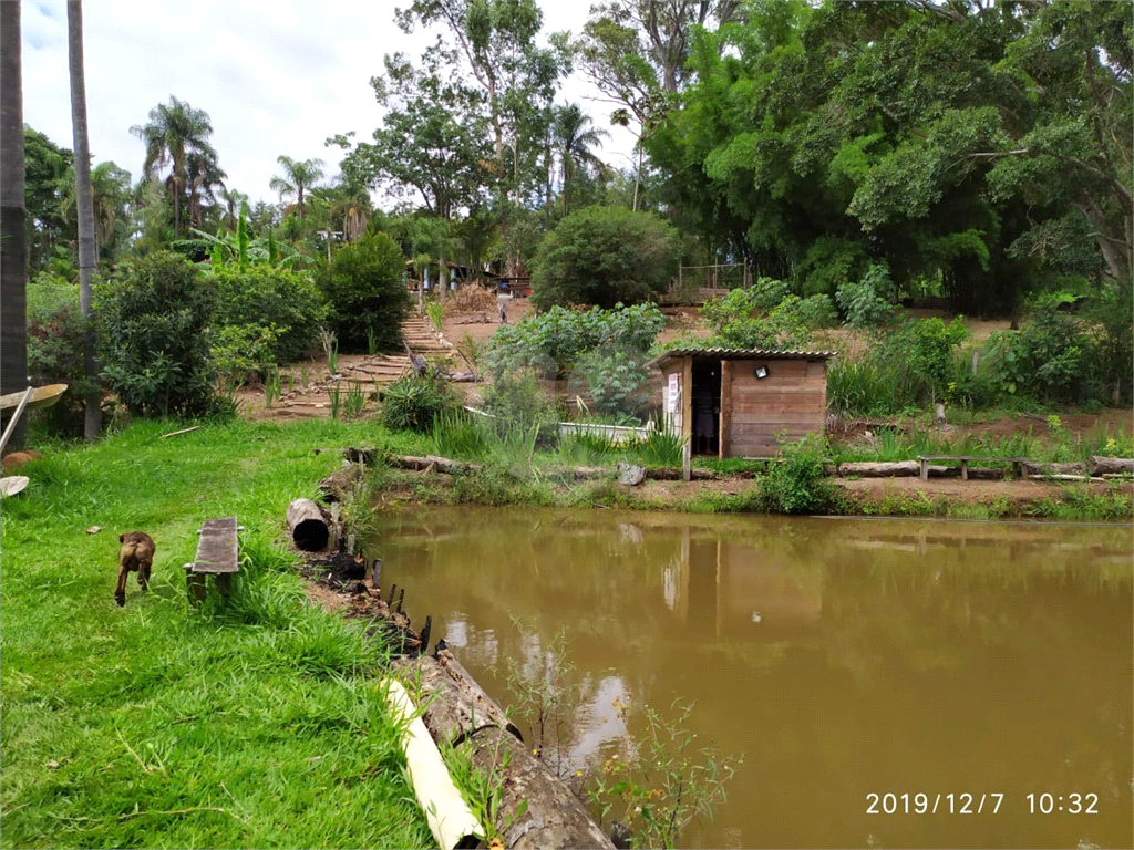 Fazenda à venda com 3 quartos, 72000m² - Foto 16