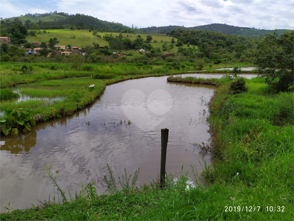 Fazenda à venda com 3 quartos, 72000m² - Foto 14