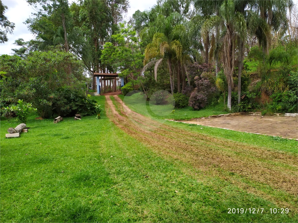 Fazenda à venda com 3 quartos, 72000m² - Foto 7