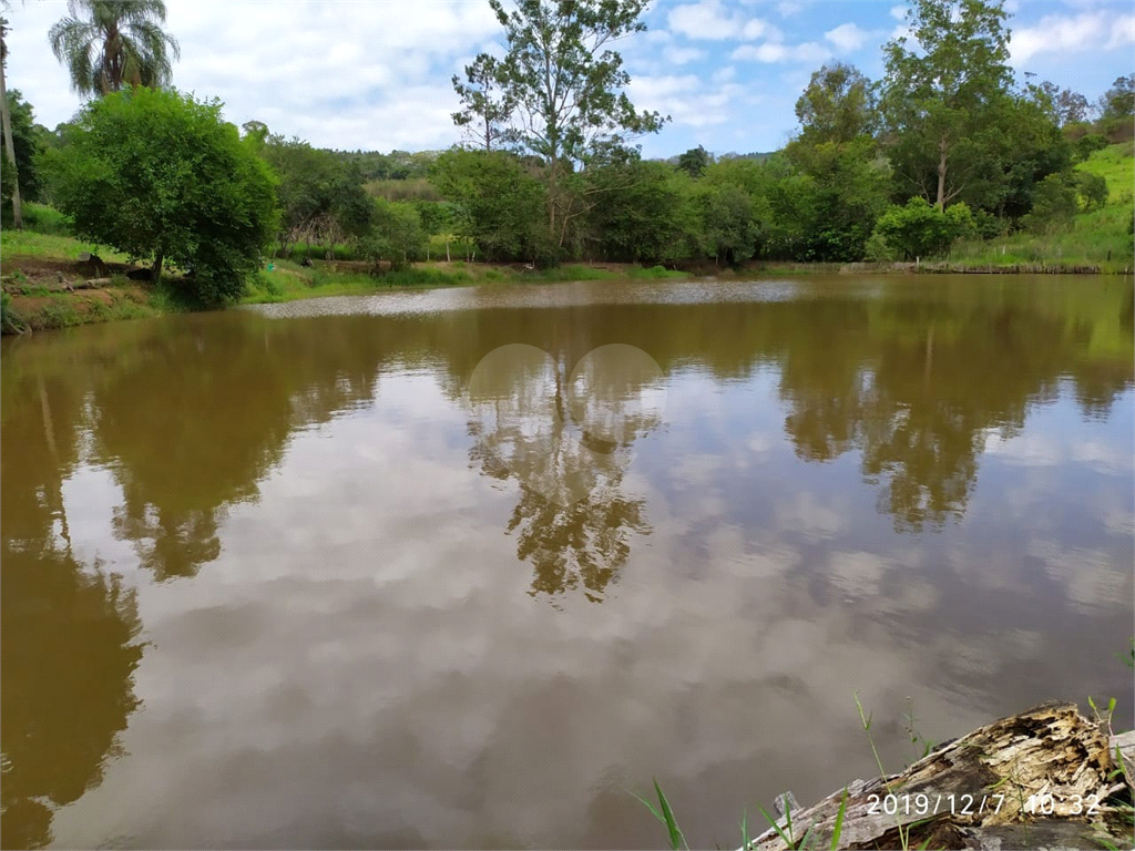 Fazenda à venda com 3 quartos, 72000m² - Foto 5