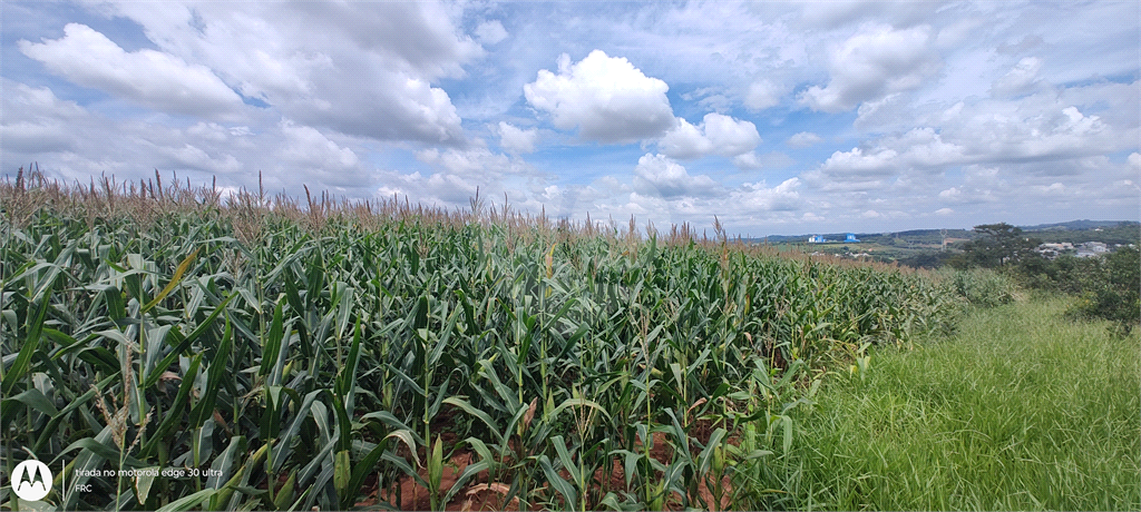 Terreno à venda, 28000m² - Foto 18