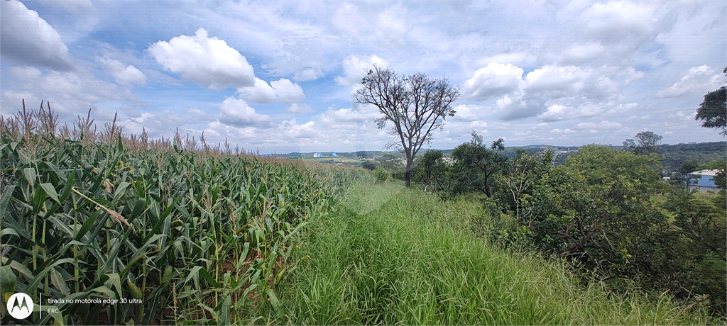 Terreno à venda, 28000m² - Foto 14