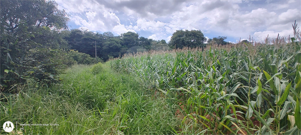 Terreno à venda, 28000m² - Foto 13