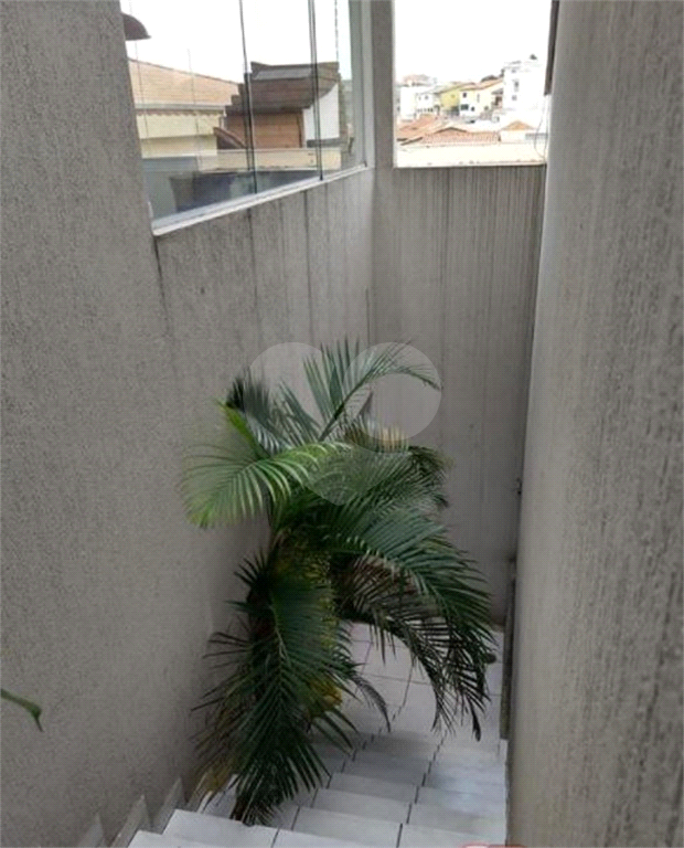 '