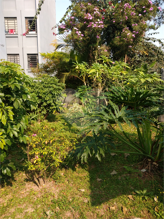 APARTAMENTO em BUTANTÃ