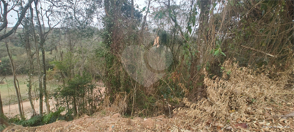 Terreno à venda, 1500m² - Foto 13