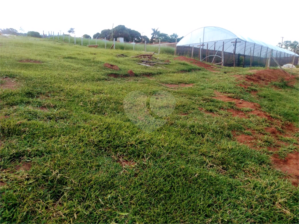 Fazenda à venda com 1 quarto, 23000m² - Foto 3