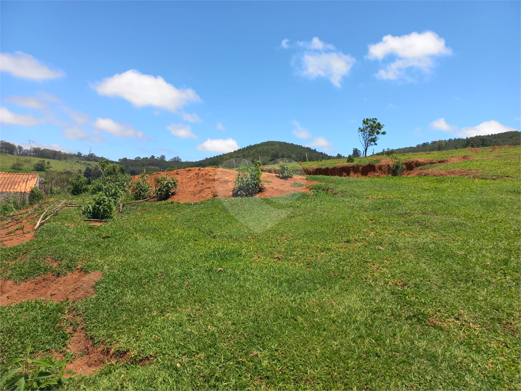 Fazenda à venda com 1 quarto, 23000m² - Foto 15