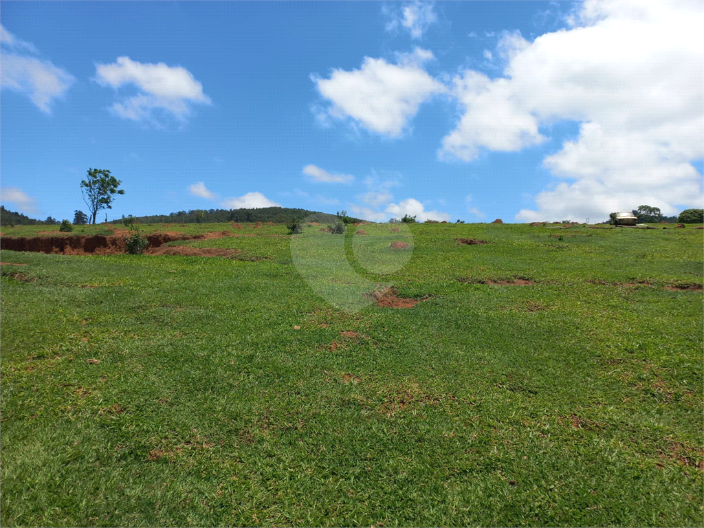 Fazenda à venda com 1 quarto, 23000m² - Foto 10