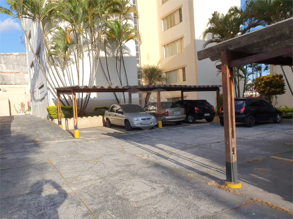 Apartamento Limão