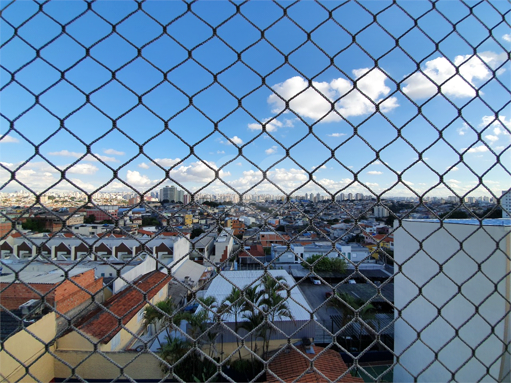 Apartamento Limão