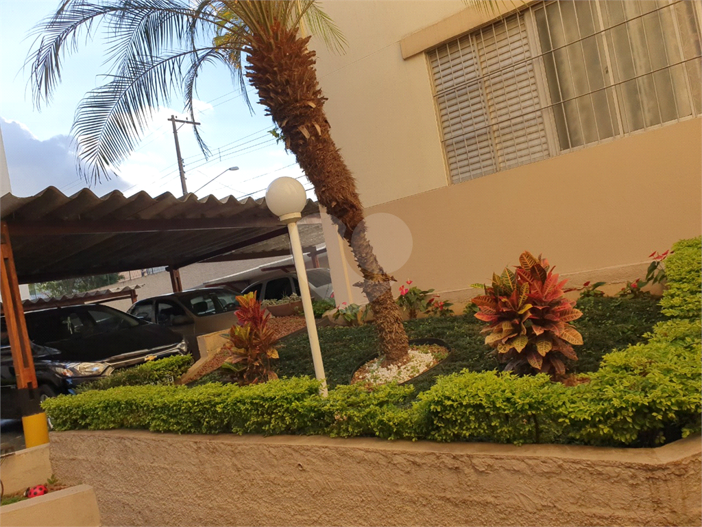 Apartamento Limão