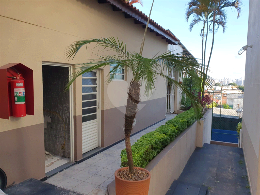 Apartamento Limão