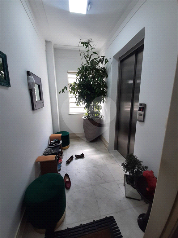 Apartamento 3 dormitórios sendo 1 suíte