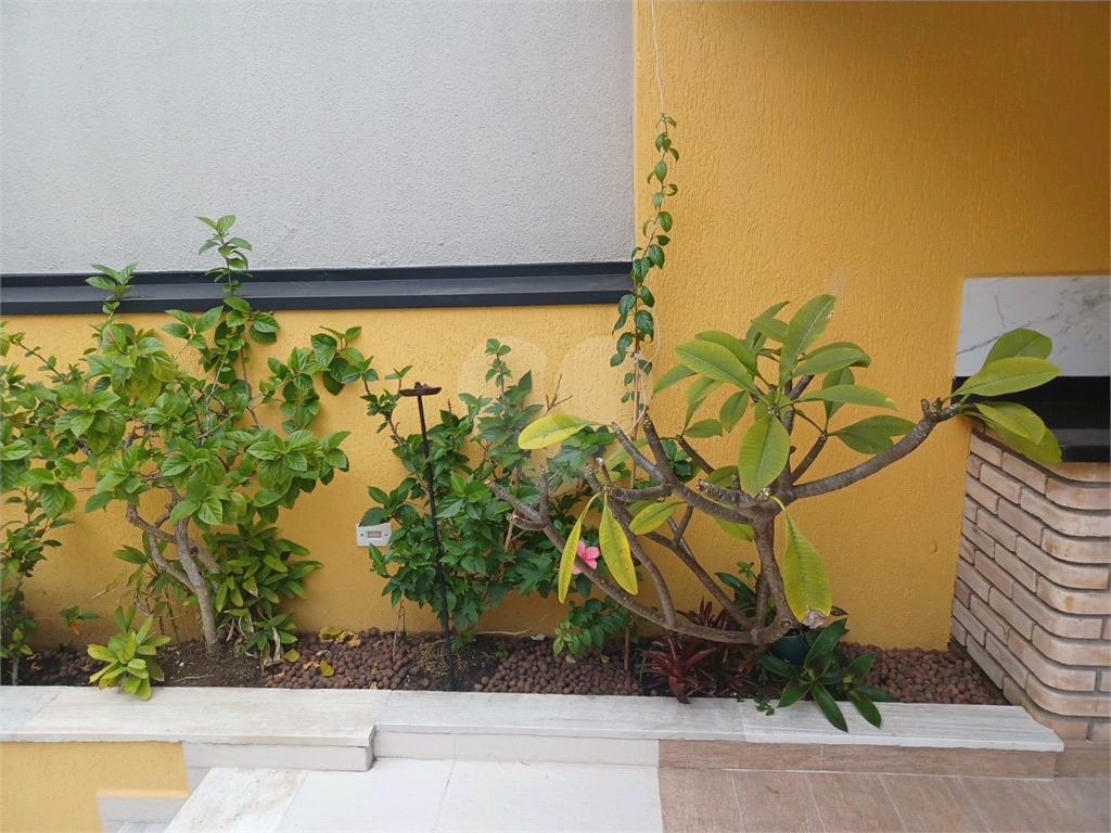Casa Térrea Assobradada com Piscina - Jardim São Paulo