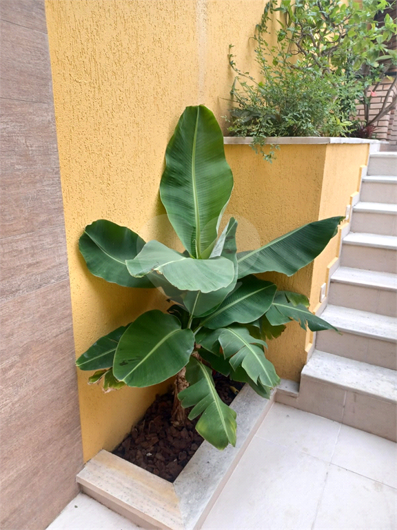 Casa Térrea Assobradada com Piscina - Jardim São Paulo