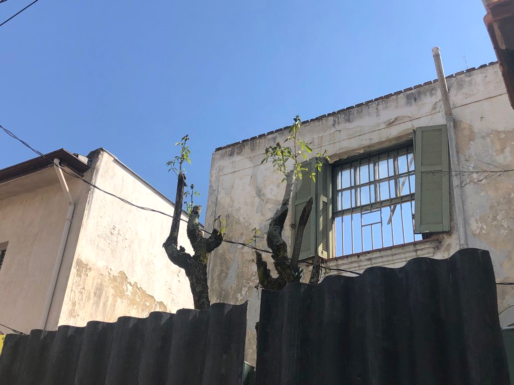 TERRENO em SANTANA