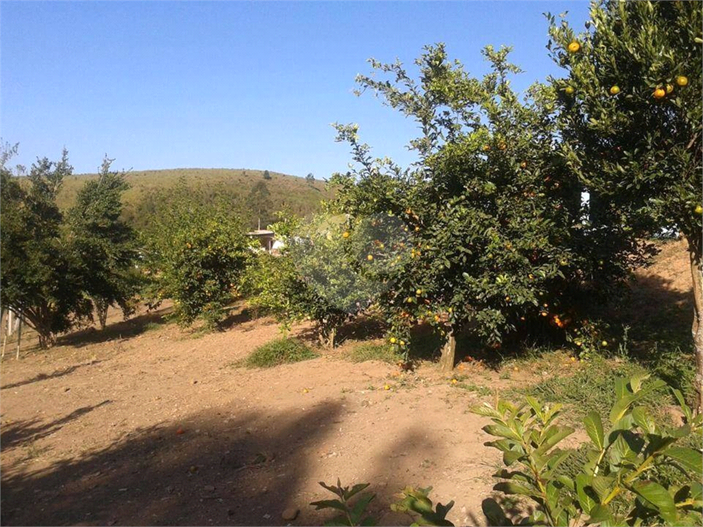 Sitio dos sonhos em Igarata com 3 casas.