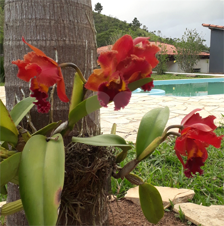 Sitio dos sonhos em Igarata com 3 casas.