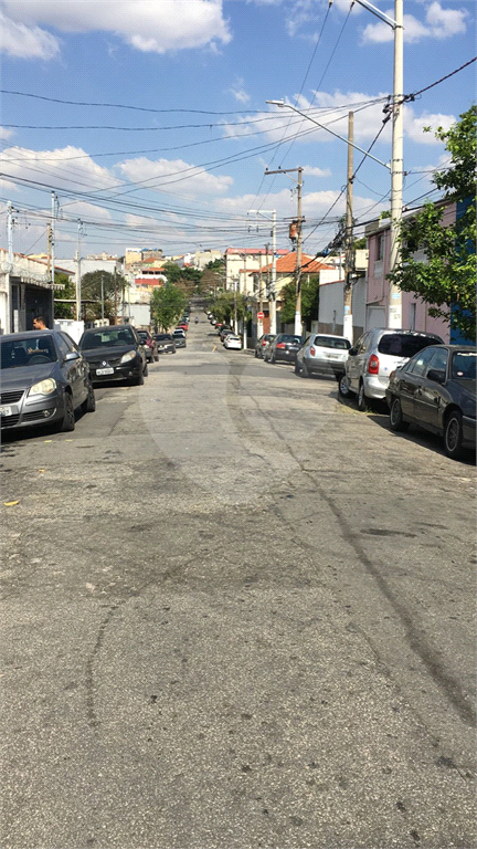 Terreno / Casa Verde