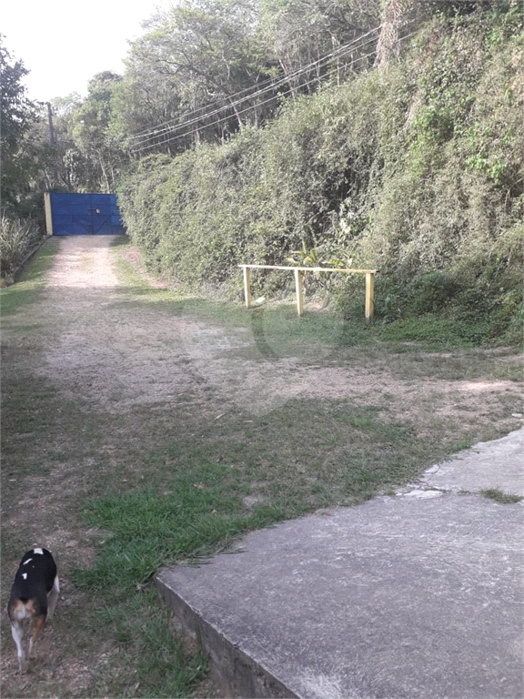 Sítio à venda com 3 quartos, 800m² - Foto 36