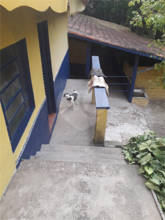 Sítio à venda com 3 quartos, 800m² - Foto 34