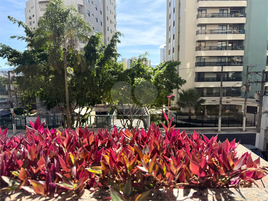Apartamento Viseu - Guilherme Cristofel