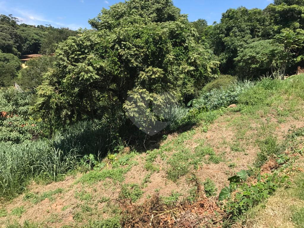 Terreno à venda, 1043m² - Foto 5