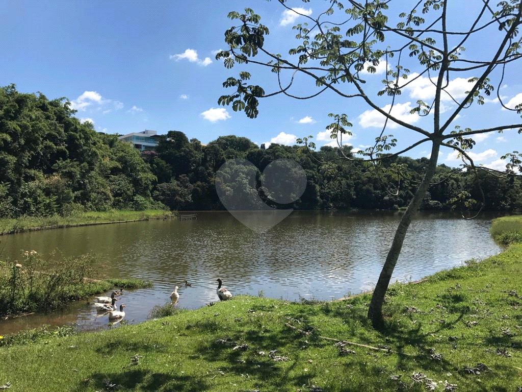 Terreno à venda, 1043m² - Foto 4