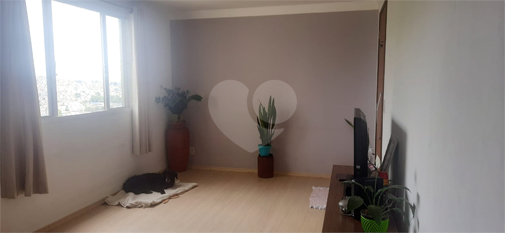 apartamento 02 dormitórios , 01 vaga Tucuruvi