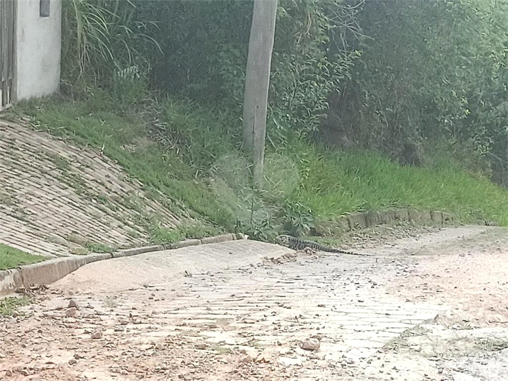 Terreno, 1531 m² - Foto 6