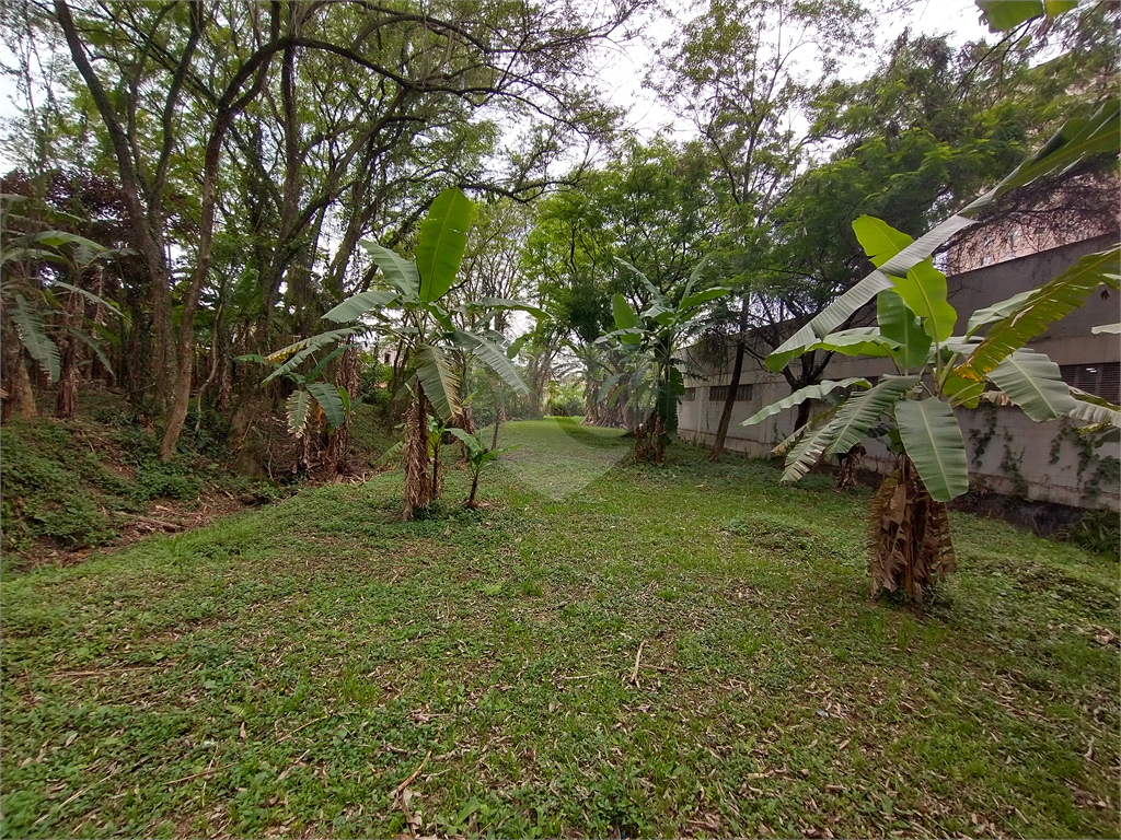 Terreno à venda, 29000m² - Foto 40