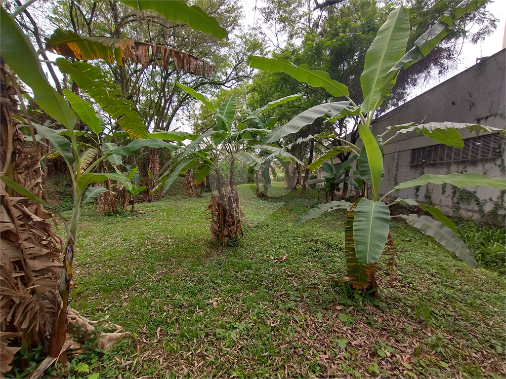 Terreno à venda, 29000m² - Foto 38